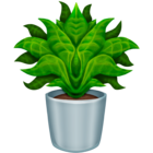 :potted_plant: