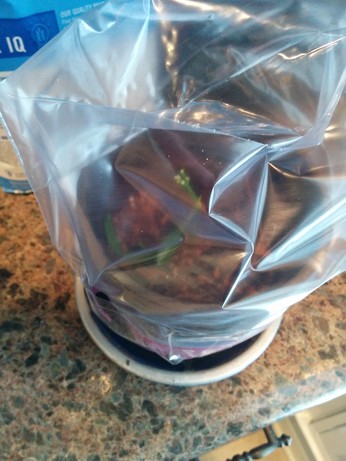 A lime tree cutting in a flowerpot of soil with a plastic bag over the top. Three small leaves have fallen off of the cutting into the soil